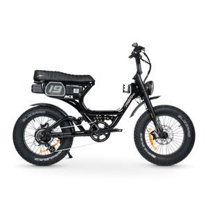 ACE PRO Electric Bike Step Through - Series 5