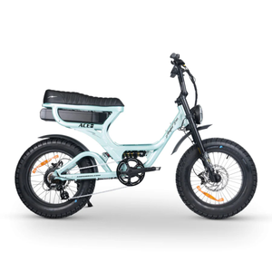 ACE-S PRO Electric Bike