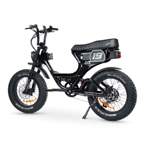 ACE PRO Electric Bike Step Through - Series 5