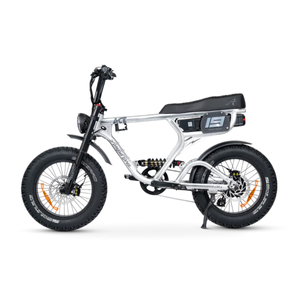 ACE-X PRO Electric Bike - ACE Series 5