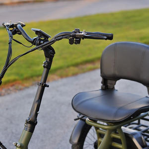 Skink E-Trike Low-Step 48V/15Ah 250W