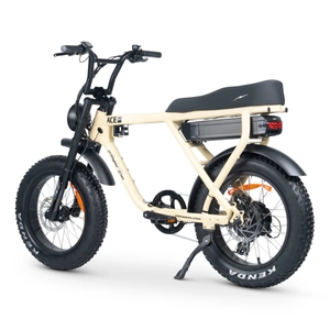 ACE-X Plus+ Electric Bike