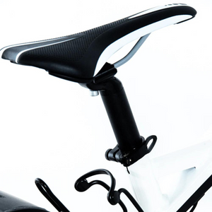 Smartmotion Pacer 250W 48V Electric Bike