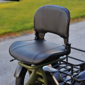 Skink E-Trike Low-Step 48V/15Ah 250W