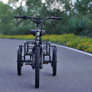 Komodo E-Trike 48V/15Ah Mid-Drive 250W