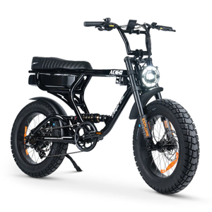 ACE-X PRO Electric Bike