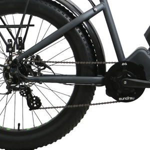FAT-HD 1000w Mid-Drive Fat Tyre E-Bike