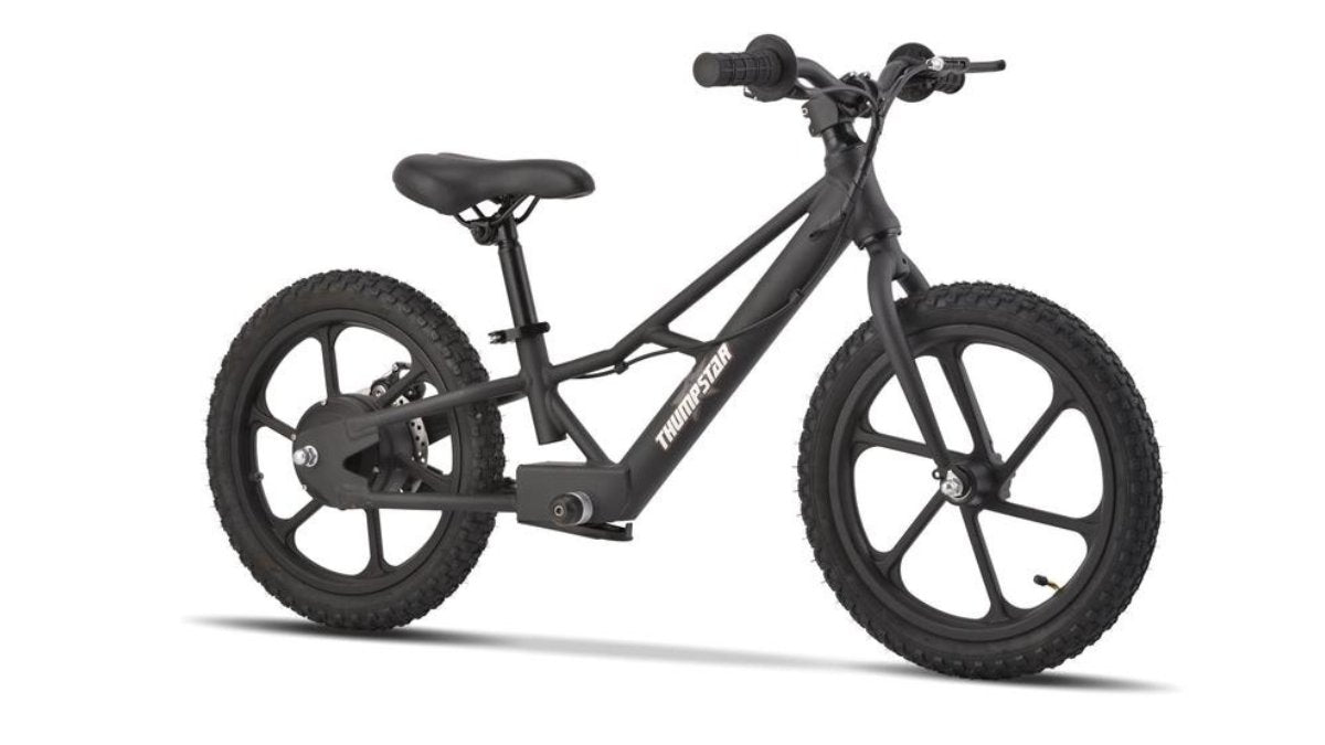 Electric Balance Bikes