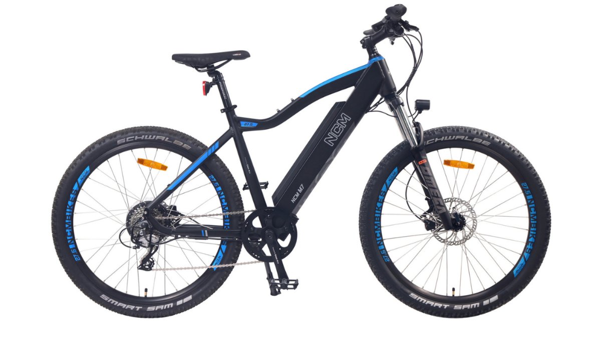 Mountain E-Bikes