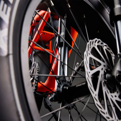 Flight Risk Bikes - EazyBikesAustralia