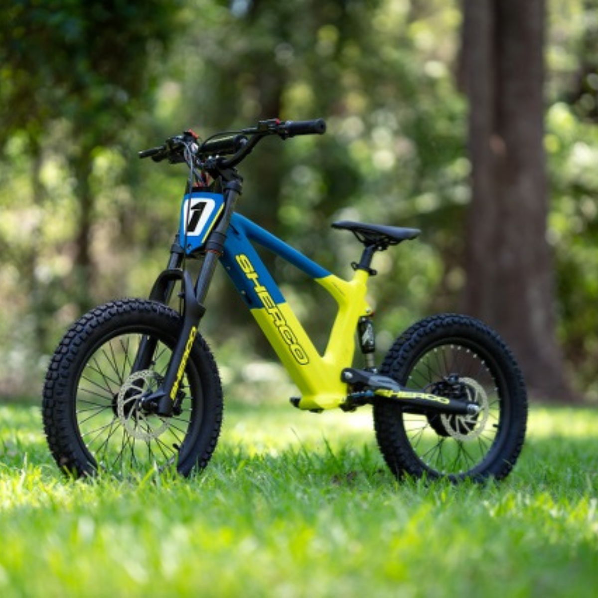 Electric Balance Bikes Buy Balance E Bikes Perth EazyBikesAustralia electric-balance-bikes-buy-balance-e-bikes-perth-eazybikesaustralia