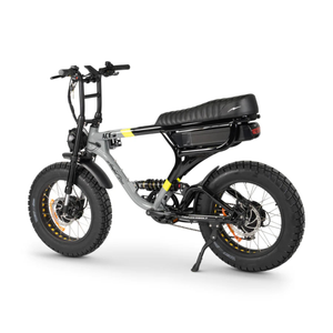 ACE-X Demon Dual Electric Bike