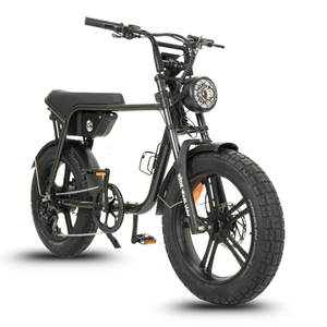 Fatfish OG 2.0 Fat Tyre E-Bike