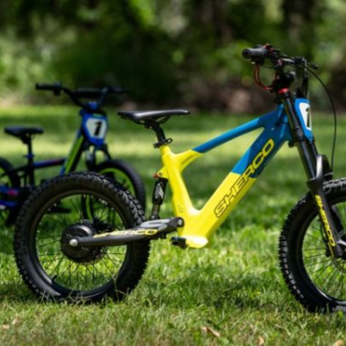 Electric Balance Bikes Buy Balance E Bikes Perth EazyBikesAustralia electric-balance-bikes-buy-balance-e-bikes-perth-eazybikesaustralia