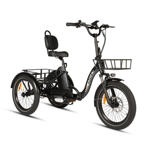 EUNORAU One Trike 2.0