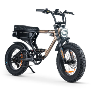 ACE-X PRO Electric Bike