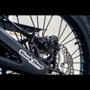 E RIDE PRO SS 3.0