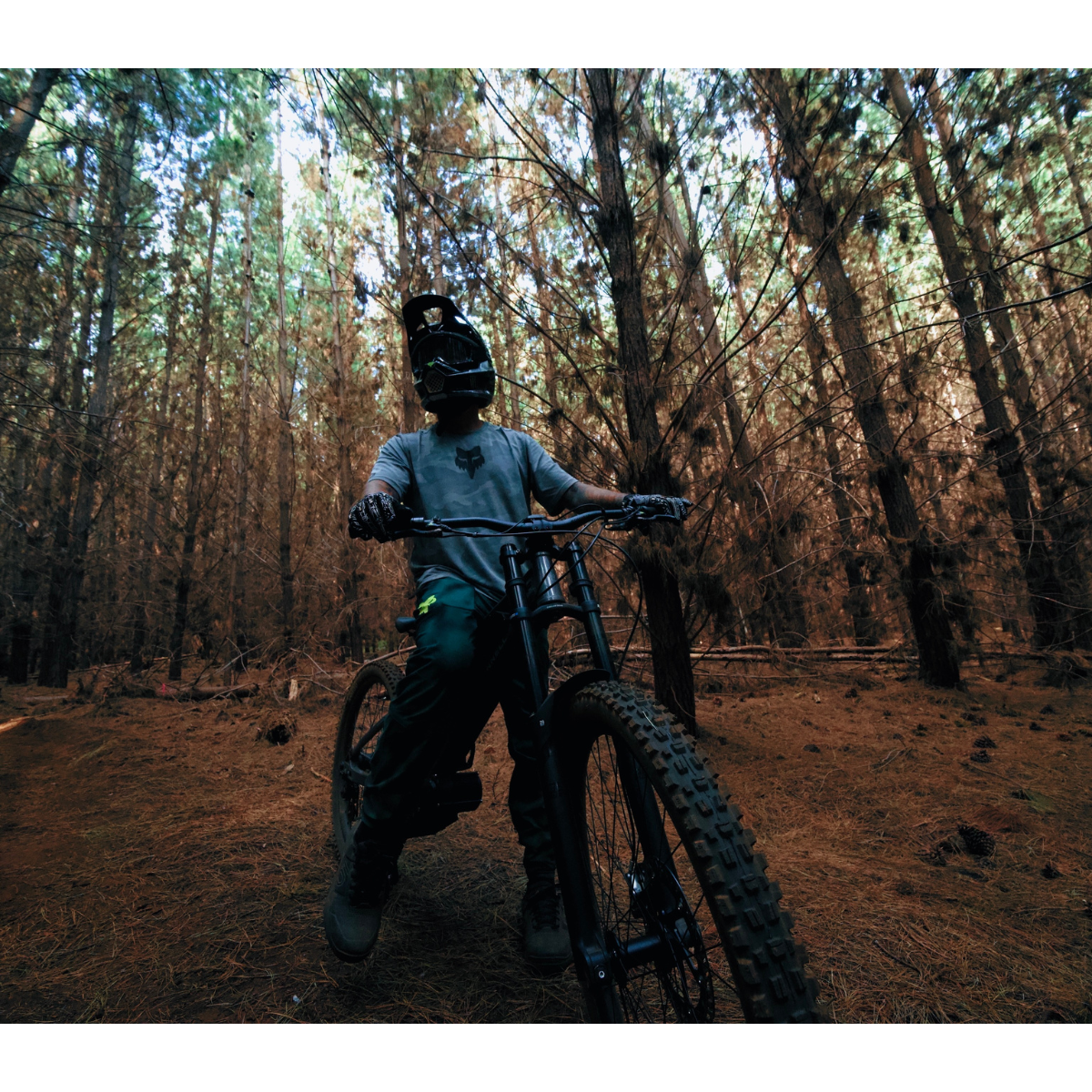 Bonnell 775 MX - Pre Order December Shipment