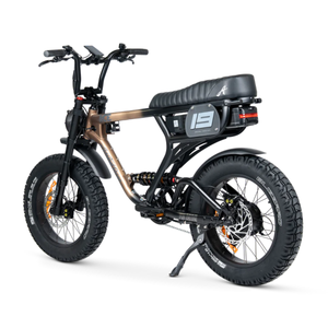 ACE-X PRO Electric Bike - ACE Series 5
