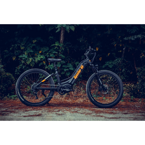 SPECTER-ST 48v 1000w Mid-Drive