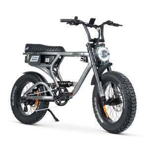 ACE-X PRO Electric Bike - ACE Series 5