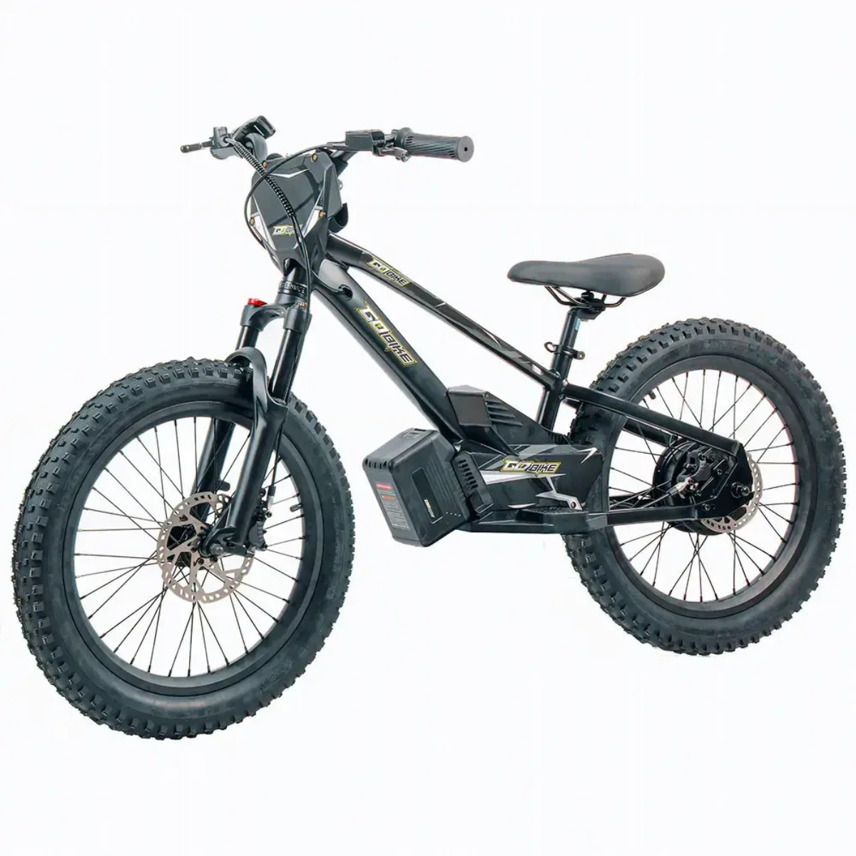 GoBike 20 Inch Electric Bike for Kids & Teens –For Ages 9–16