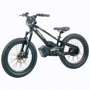 GoBike 20 Inch Electric Bike for Kids & Teens –For Ages 9–16