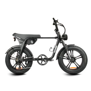 Fatfish OG 2.0 Fat Tyre E-Bike