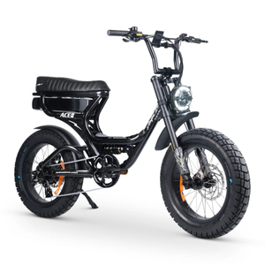 ACE-S PRO Electric Bike