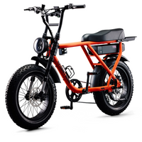Flight Risk Bikes - EazyBikesAustralia