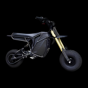 RONSTER RIDES RIZZLER BIKE