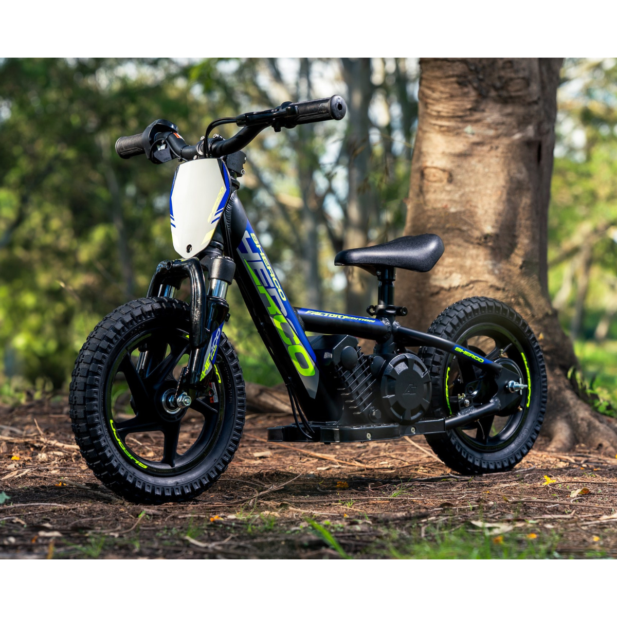 Next-Generation SHERCO EB12 Factory