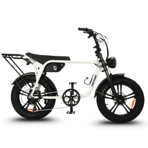 Fatfish Biggie 20AH Fat Tyre E-Bike