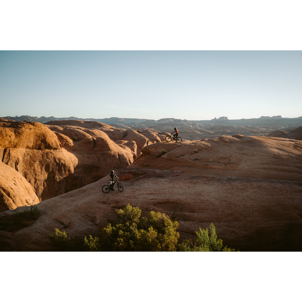 Bonnell 775 MX - Pre Order December Shipment