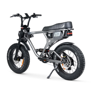 ACE-X PRO Electric Bike - ACE Series 5