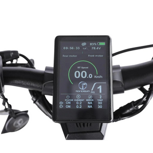 TEVERUN Fighter 11+ Electric Scooter
