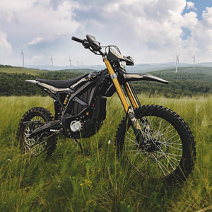 SUR-RON ULTRA BEE X HP 2025