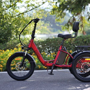 Bungarra E-Trike 48V 15Ah 250W