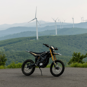 SUR-RON ULTRA BEE X HP 2025