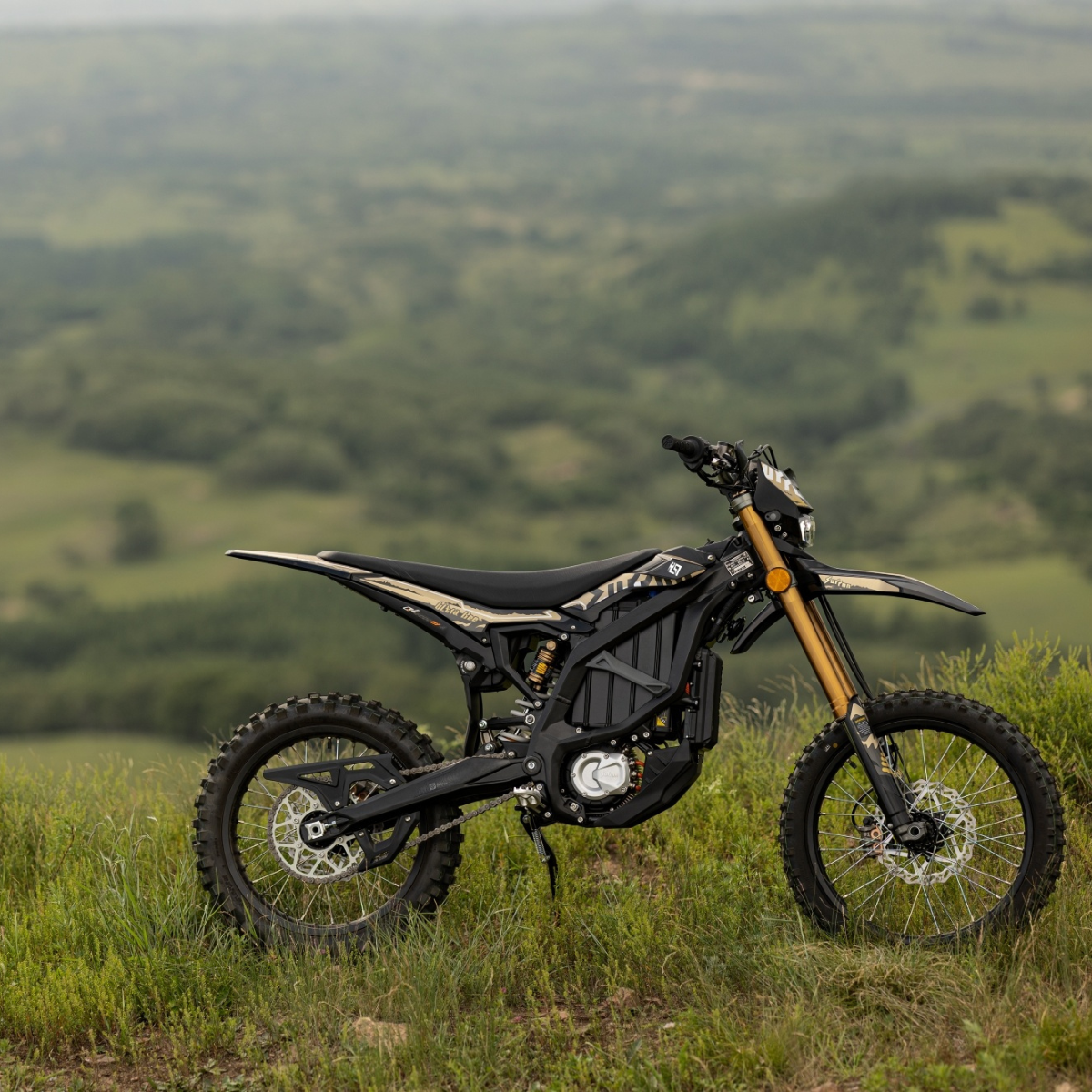 SUR-RON ULTRA BEE X HP 2025