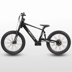 GoBike 24 Inch Electric Bike for Teens – High Speed Performance for Ages 13+