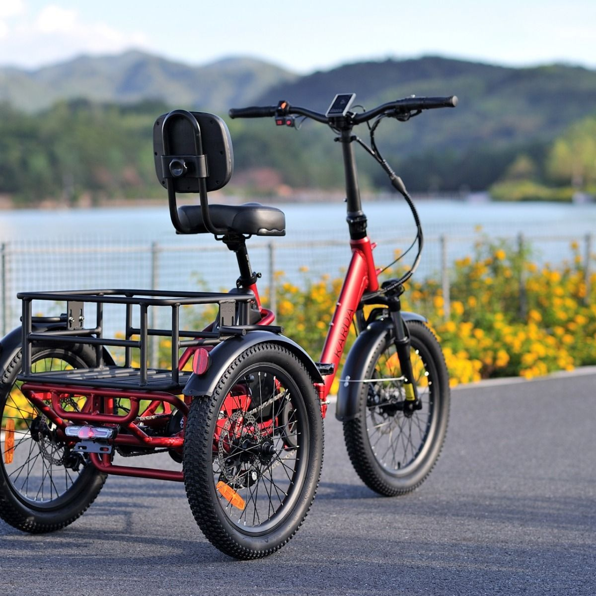 Bungarra E-Trike 48V 15Ah 250W