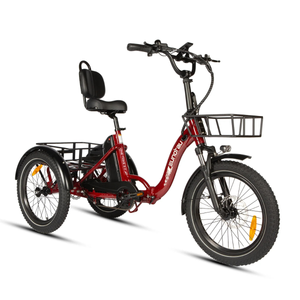 EUNORAU One Trike 2.0