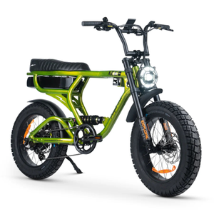 ACE-X PRO Electric Bike