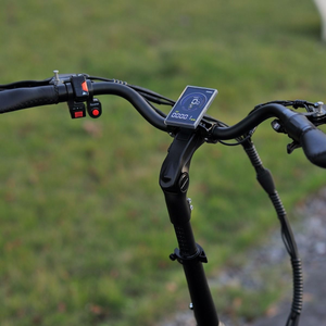 Skink E-Trike Low-Step 48V/15Ah 250W