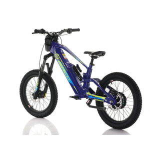 SHERCO – XTREM 20