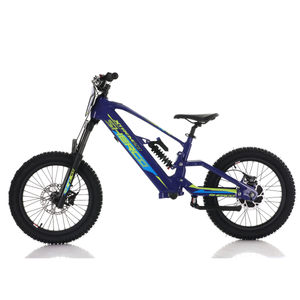 SHERCO – XTREM 20