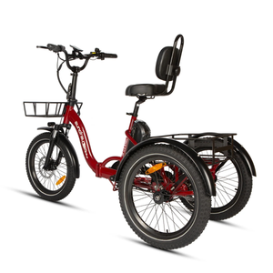 EUNORAU One Trike 2.0