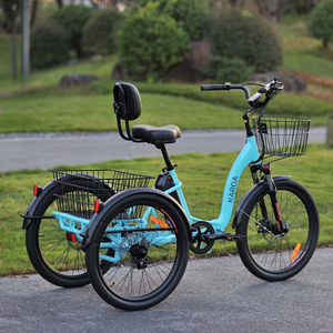 Gekko E-Trike 36V/15Ah 250W