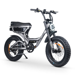 ACE-S PRO Electric Bike